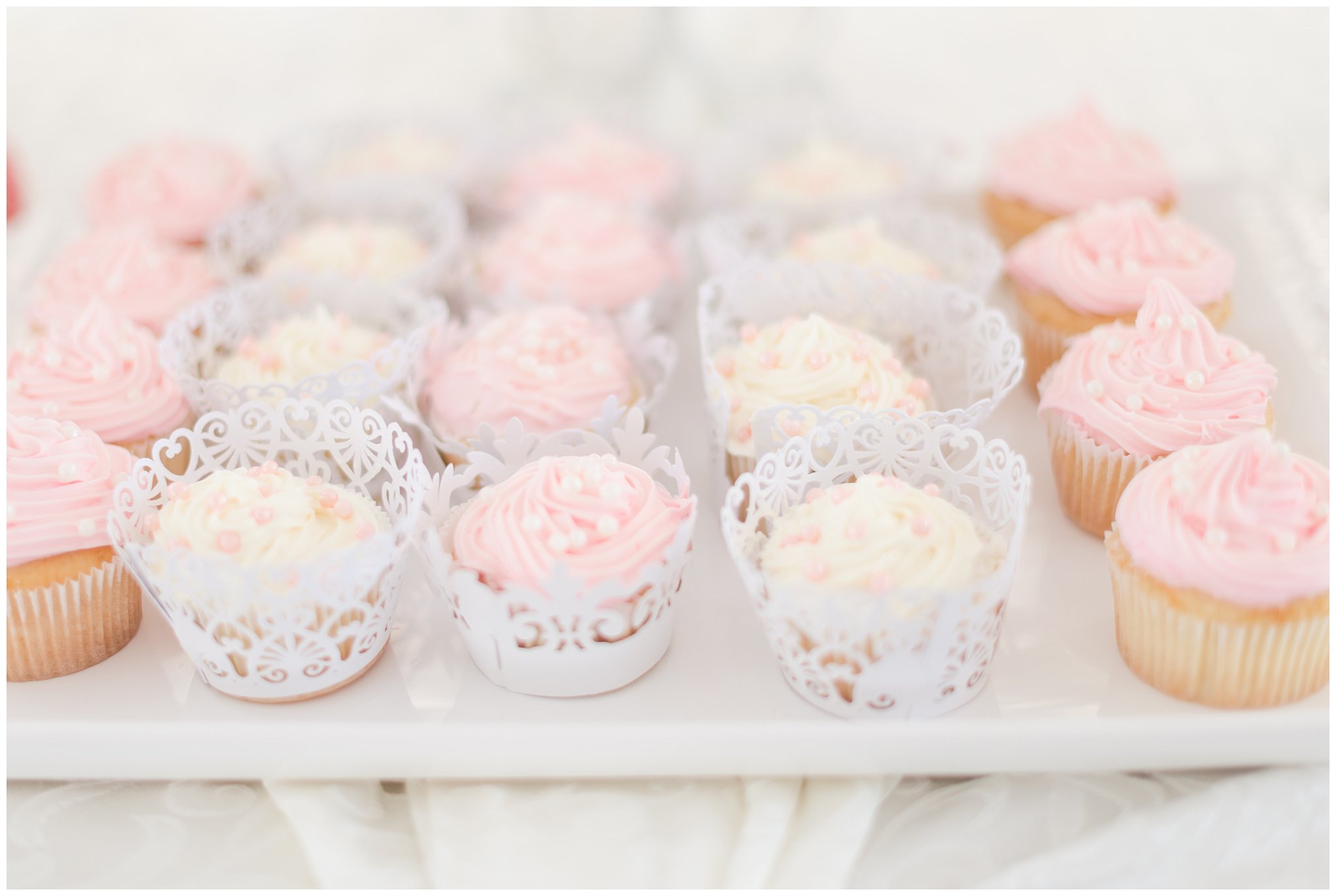 pink and white cupcakes