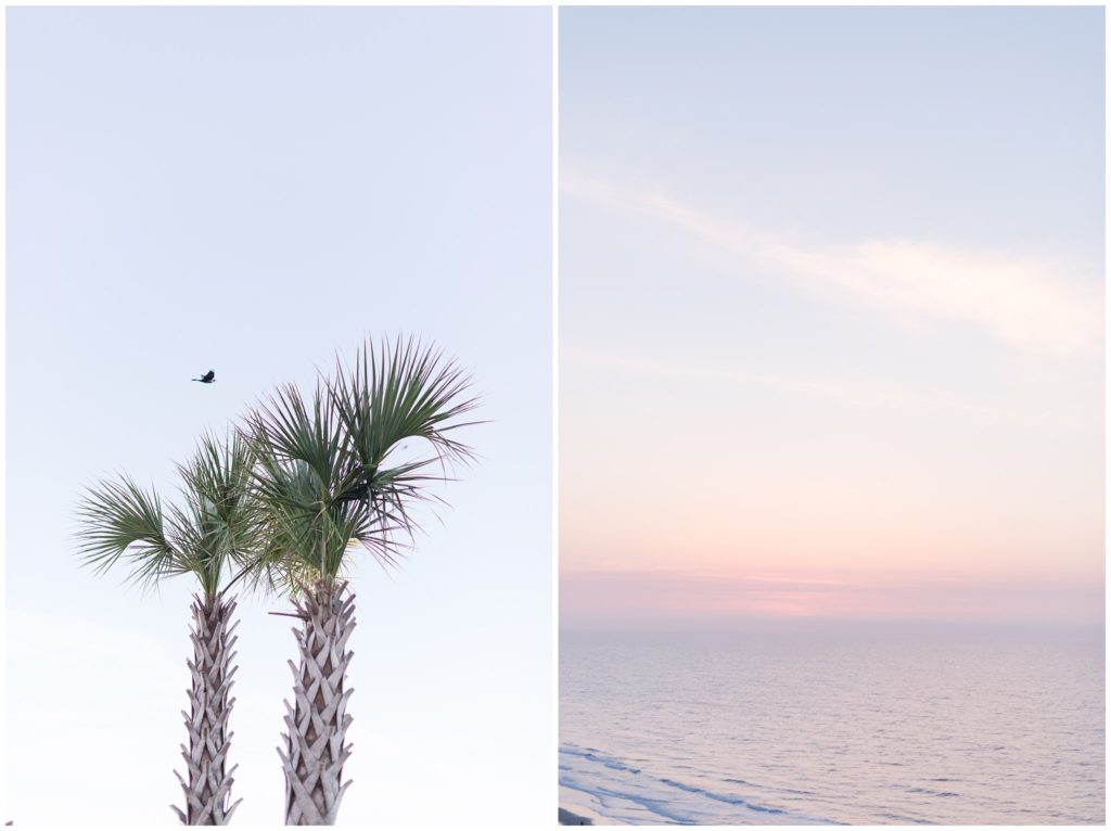 palm trees and sunrise