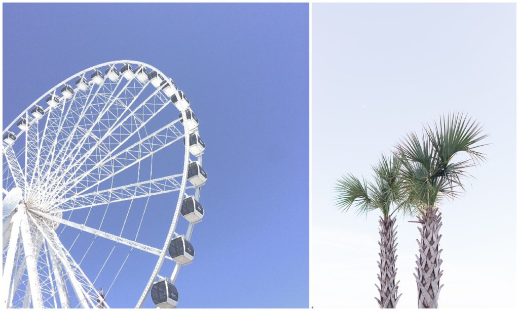 ferris wheel palm trees
