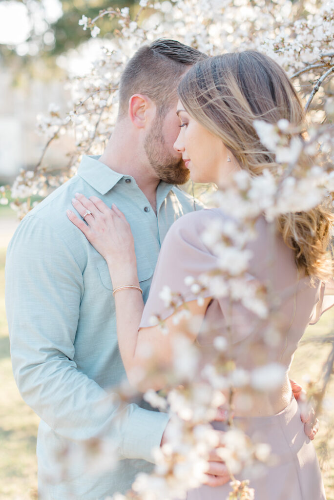 cherry blossom engagement photos