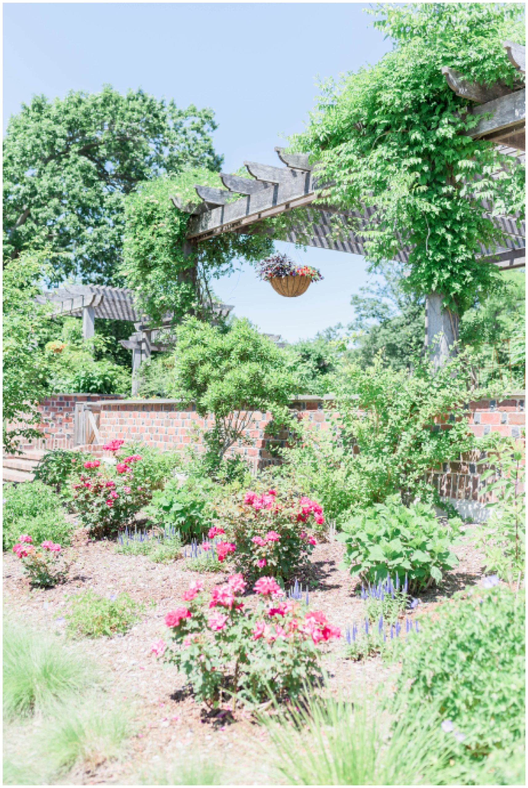 planting fields arboretum