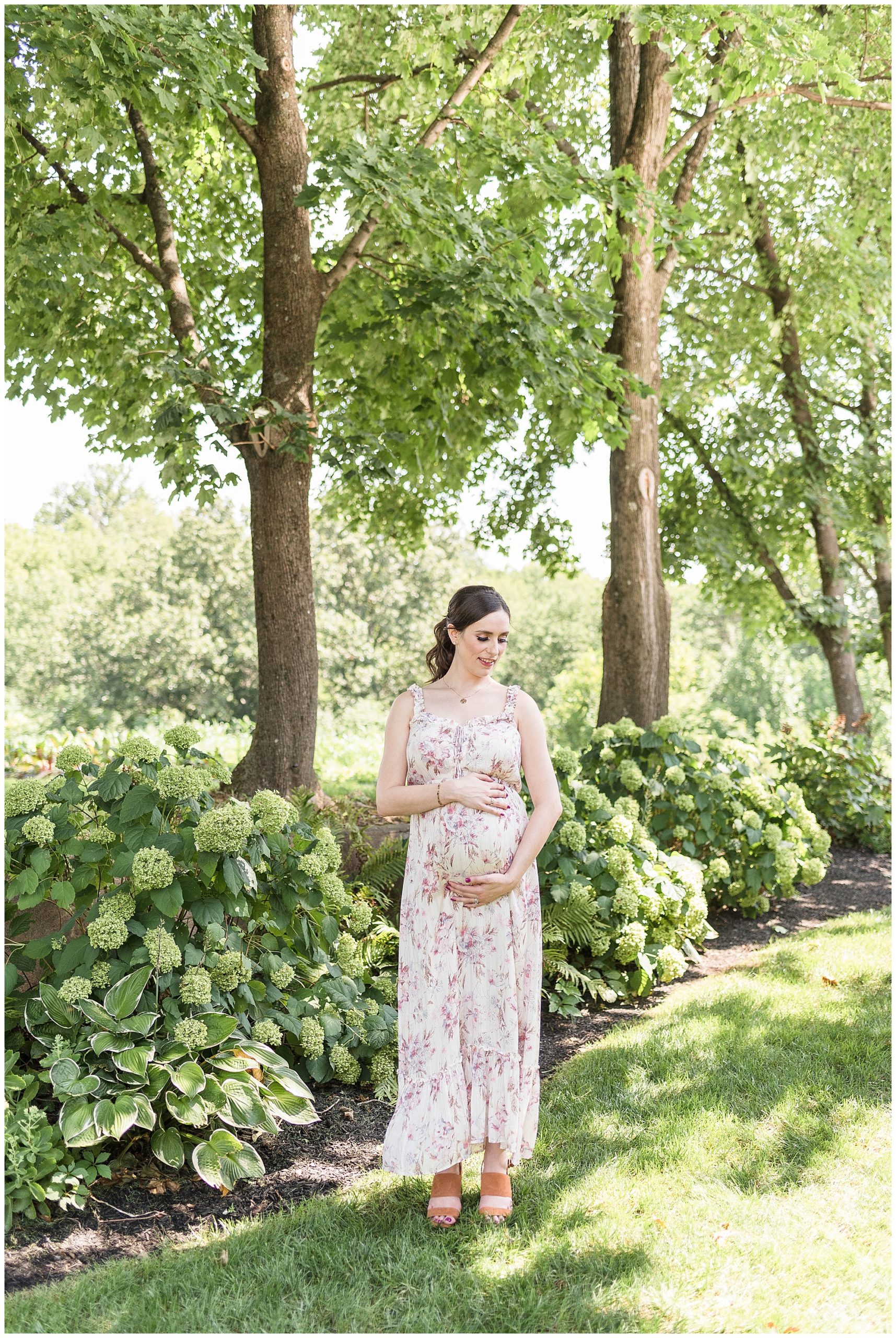 pink blush maternity