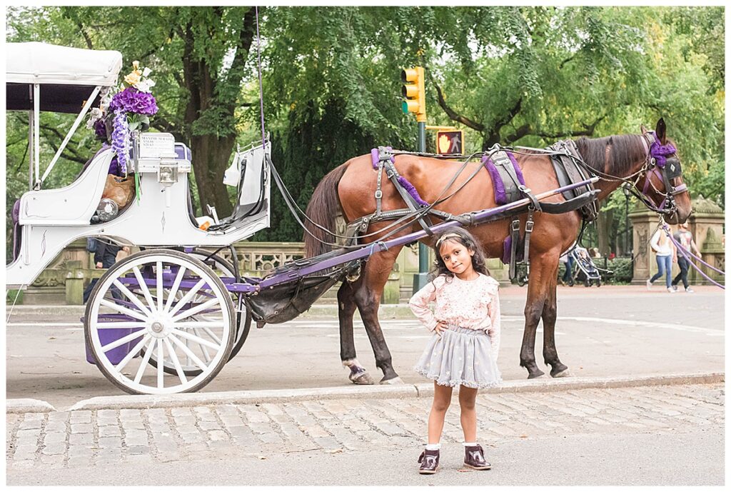 central park carriage rides