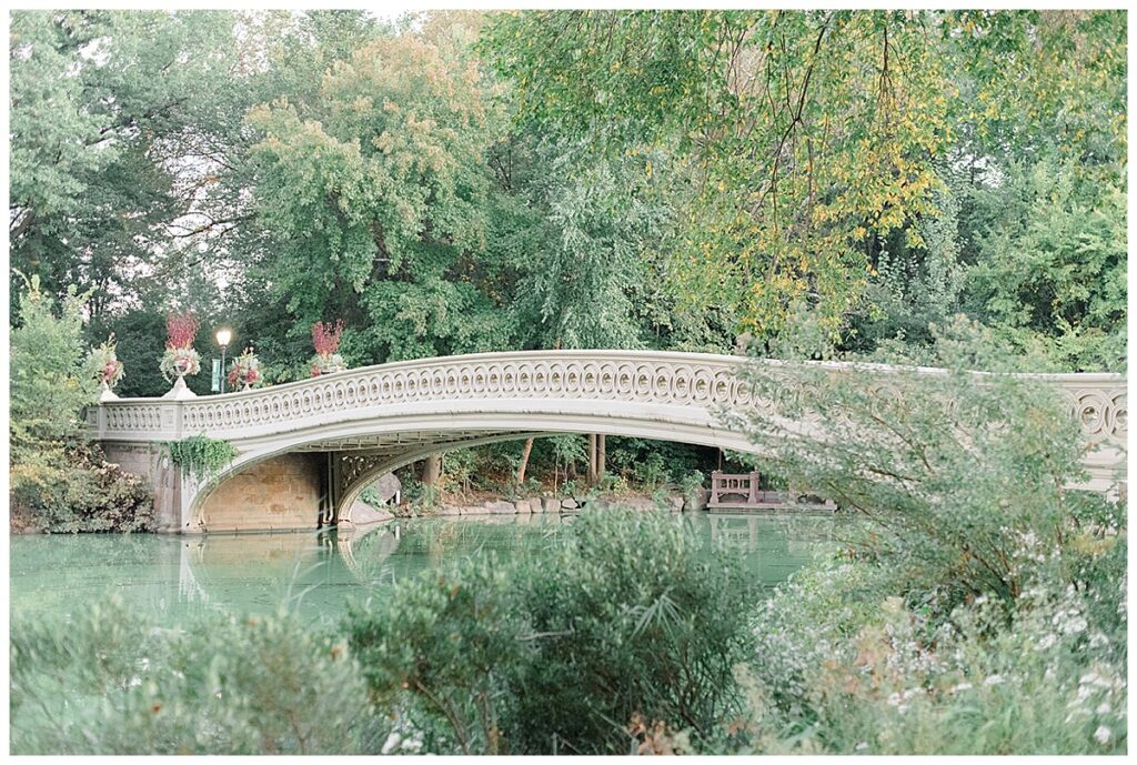 central park engagement session