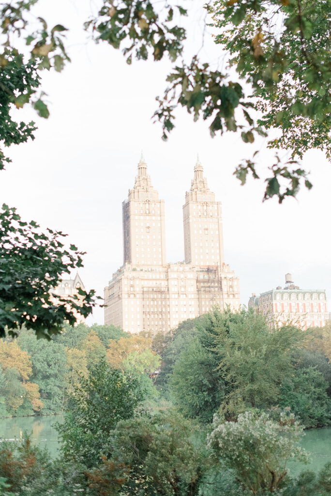 view of the el dorado buildings from central park