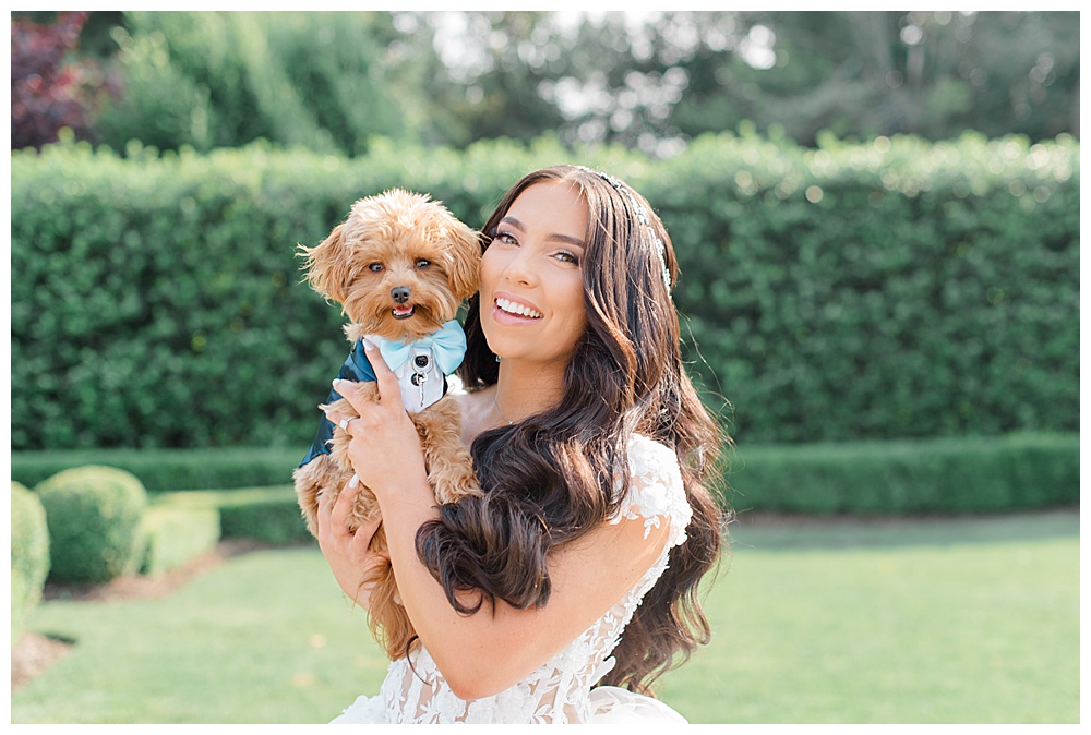 dog and bride